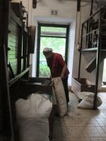 Teeplantage Gorreana