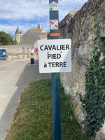 Saumur : Es gibt Fussgänger, Radler und Reiter