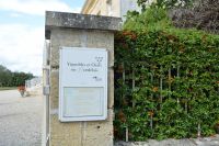 am Weingut Balac