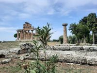 Paestum - Athena-Tempel