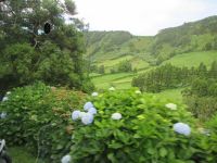 Krater von Sete Cidades