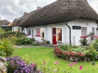 11. Tag – Adare
