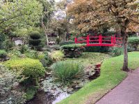 11. Tag – Irish National Stud – Nationalgestüt – Japanischer Garten