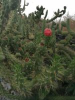 Zwischenstopp in Machico