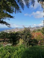 Botanischer Garten in Funchal