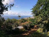 Botanischer Garten in Funchal