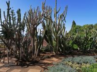 Botanischer Garten in Funchal