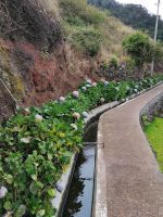 Levada von Maracos