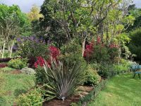Blandys Garten