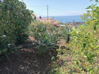 Blandys Garten