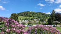 Stein am Rhein, Blick zur Burg Hohenklingen