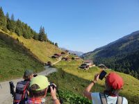 Pfundsalm oberhalb von Hochfügen