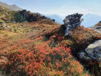 Herbstfarben am Sidanjoch