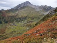 Blick vom Filzenkogel zur Edelhütte und Ahornspitze