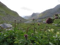 004 auf dem Flüelapass