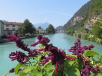145 Interlaken