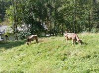 Verzascatal, Sonogno