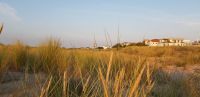 Blick in die Dünen.jpg