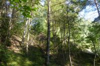 Tag 3 Wanderung zum Litermont 