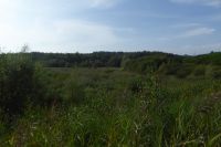 Tag 4 Reden, renaturierter Absinkweiher