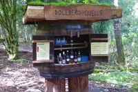 Tag 6 Wanderung am Dollberg 