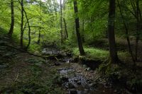 Tag 7 Wanderung zur Saarschleife 