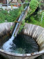 Waschmaschine für Teppiche in Bansko