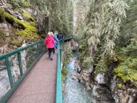 Spaziergang im Johnsten Canyon