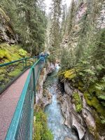Spaziergang im Johnsten Canyon
