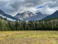 Blick auf den Mount Robsen