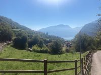 Blick auf den See