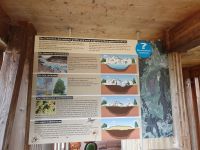 Moorgebiet Schwemm in Walchsee