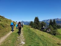 Wanderung zur Aschinger Alm