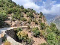 Fahrt oberhalb der Spelunca-Schlucht