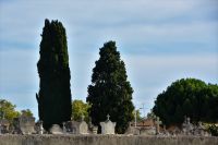 alter Friedhof am Uferrand