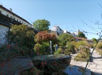 Eichstätt, Willibaldsburg