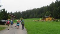 Wanderung zum Pfänder