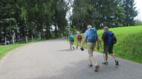 Wanderung zum Pfänder
