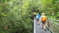 Wanderung von Walzenhausen nach Heiden