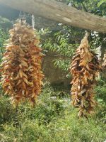 2-2j 20210912 150243