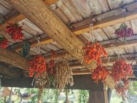 3-4a 20210913 130824