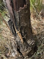 4-2m 20210914 121110