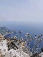 6-13x 20210916 134614