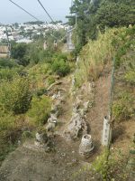 6-14f 20210916 144923