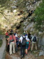 7-1ga 20210917 093824