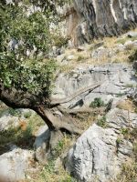 7-1n 20210917 095619