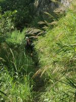 7-2w 20210917 114657