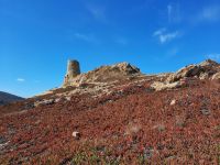 Balagne