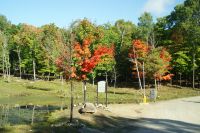 68  Indian Summer