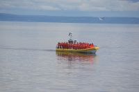 181 Whale Watching Tadoussac